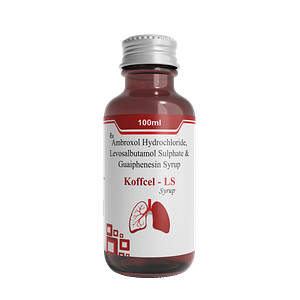 KOFFCEL LS 3D